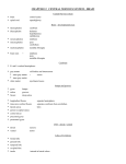 CHAPTER 19 CENTRAL NERVOUS SYSTEM – BRAIN