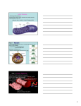 Stage 2: Aerobic Respiration