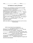 Cell Membrane Coloring