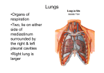 Lungs - GMCH