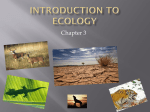 Introduction to Ecology