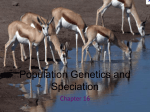 Population Genetics and Speciation