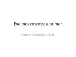 Eye movements