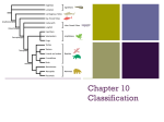 Ch. 10 Notes Classification