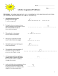 Name Date Cellular Respiration Word Game Directions: On the lines