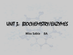 UNIT 2: BIOCHEMISTRY/ENZYMES