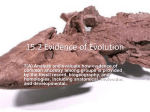 Evidence for Evolution