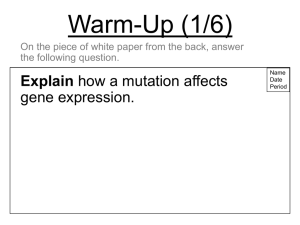 Developmental Gene Expression Part I