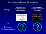 Correlation of HER2 mRNA Expression Levels with