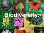 Biodiversity