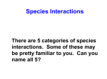 species interactions