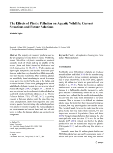 The Effects of Plastic Pollution on Aquatic Wildlife