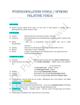 Pterygopalatine Fossa