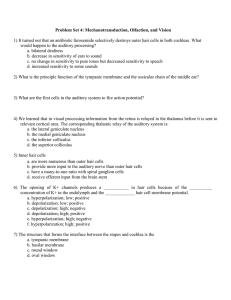 1) It turned out that an antibiotic furosemide selectively destroys