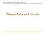 Protein Domains and Classification