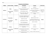 Comparing World Religions