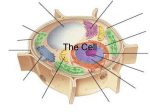 The Cell - Oakland Schools Moodle