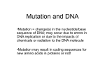 Mutation and DNA