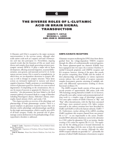 the diverse roles of l-glutamic acid in brain signal transduction