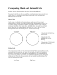 Comparing Plant and Animal Cells