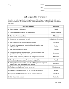 Cell Organelles Worksheet