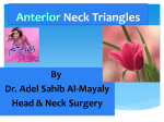 anteriorly