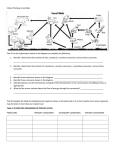 Critical Thinking: Food Web Part A Use the information shown in the