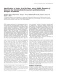 Identification of Amino Acid Residues within GABAA Receptor