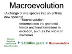 Speciation Notes