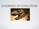 evidence of evolution