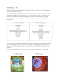 Cell Project – 7E - American Academy