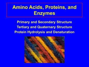 Protein Structure