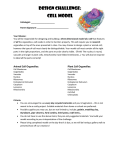 Design Challenge - cell model