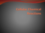 Cellular Chemical Reactions