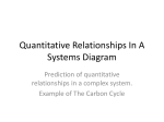 The Carbon Cycle Quantities