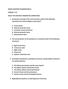 GROSS ANATOMY EXAMINATION III FORMAT “K