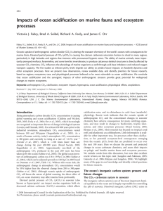 Impacts of ocean acidification on marine fauna and ecosystem