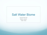 Salt Water Biome