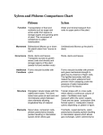 Xylem and Phloem Comparison Chart