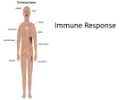 Immune Response