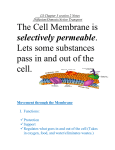 Life Science Notes – Diffusion/Osmosis/Active Transport