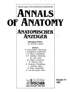 The detailed functional anatomy of the ligaments of the vertebral