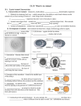 25.1. Typical Animal Characteristics