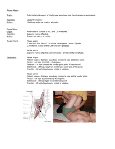 Psoas Major Technique