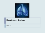 Respiratory System