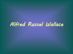 Alfred Russel Wallace