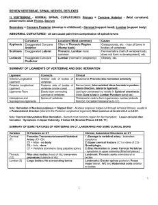 SUMMARY OF SPINAL CURVATURES