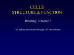 CELLS- STRUCTURE AND FUNCTION