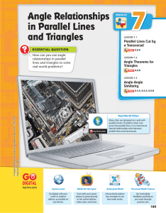 Angle Relationships in Parallel Lines and Triangles 7