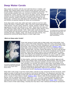 Deep Water Corals - Department of Geology UPRM